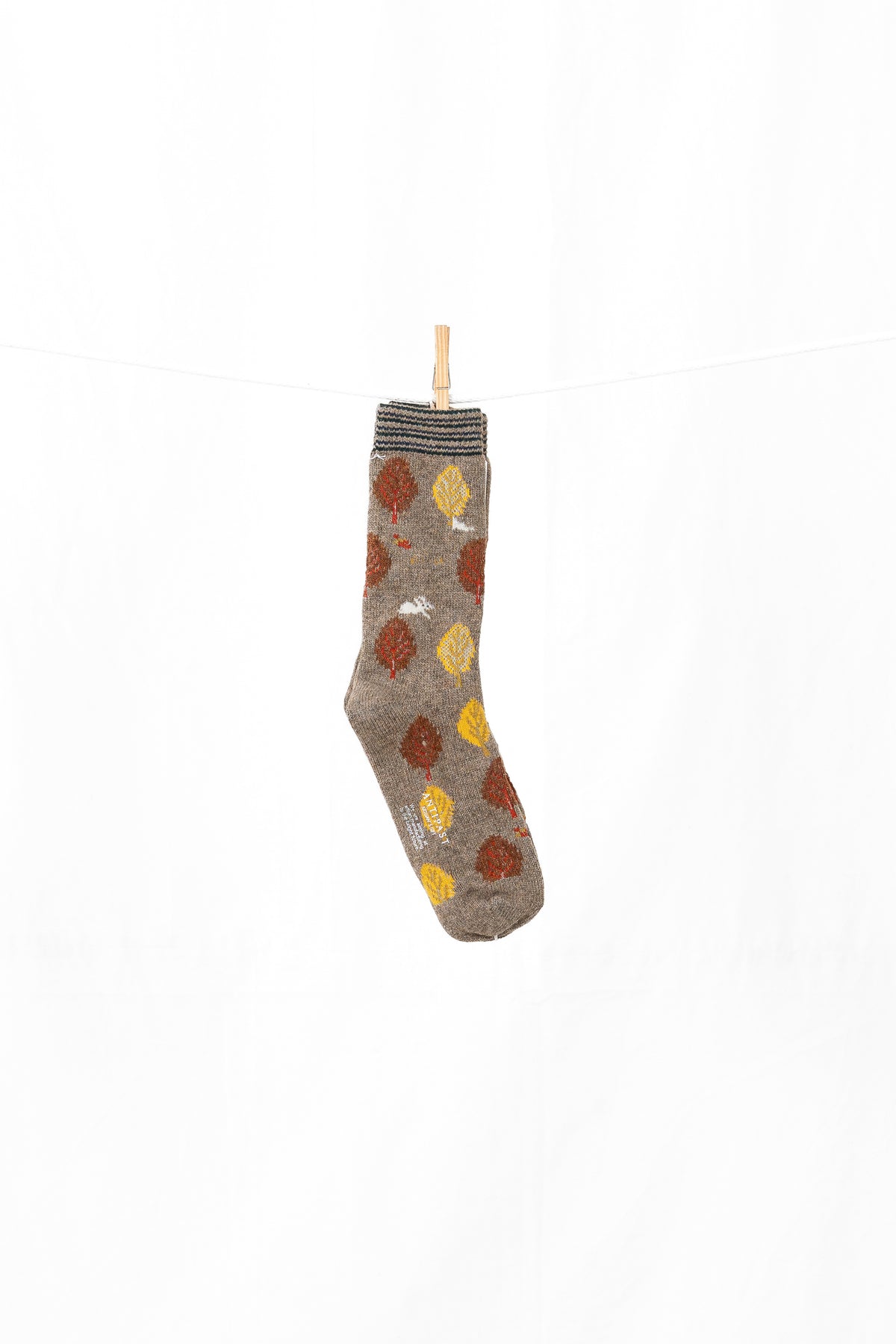 Antipast Where is Rabbit? Women's Socks  - Mocha