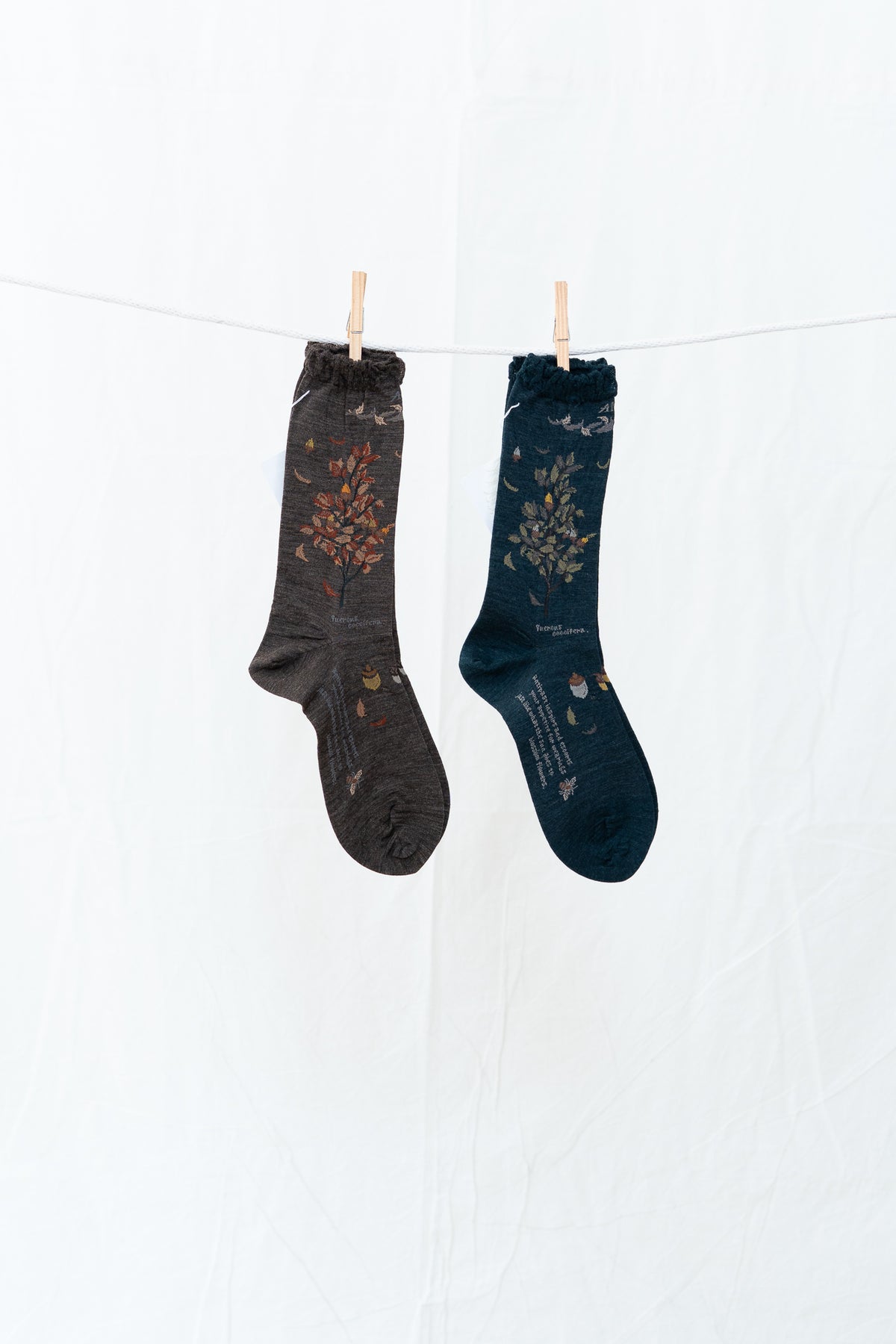 Antipast Wind and Acorn Women's Socks