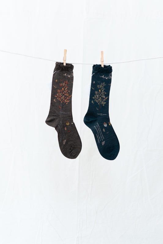 Antipast Wind and Acorn Women's Socks