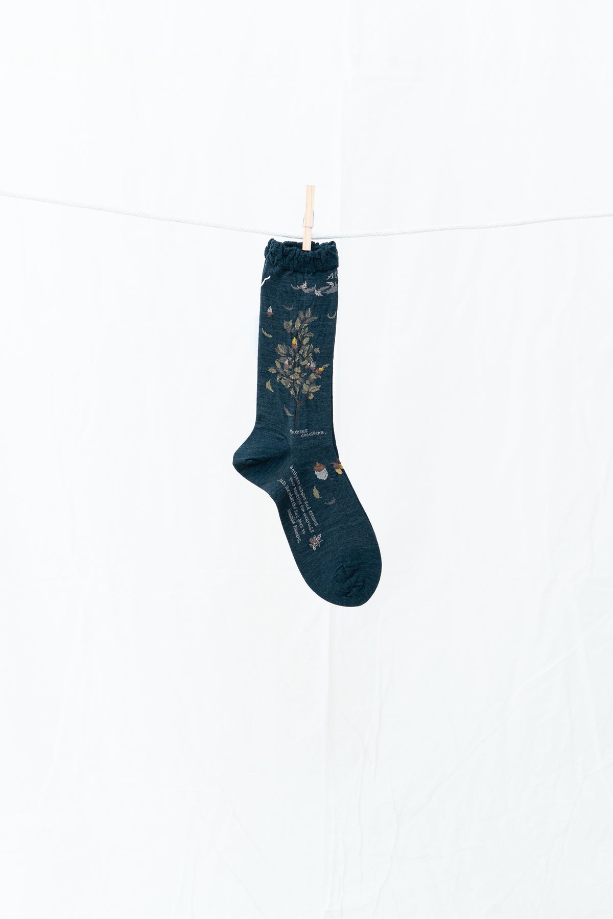 Antipast Wind and Acorn Women's Socks