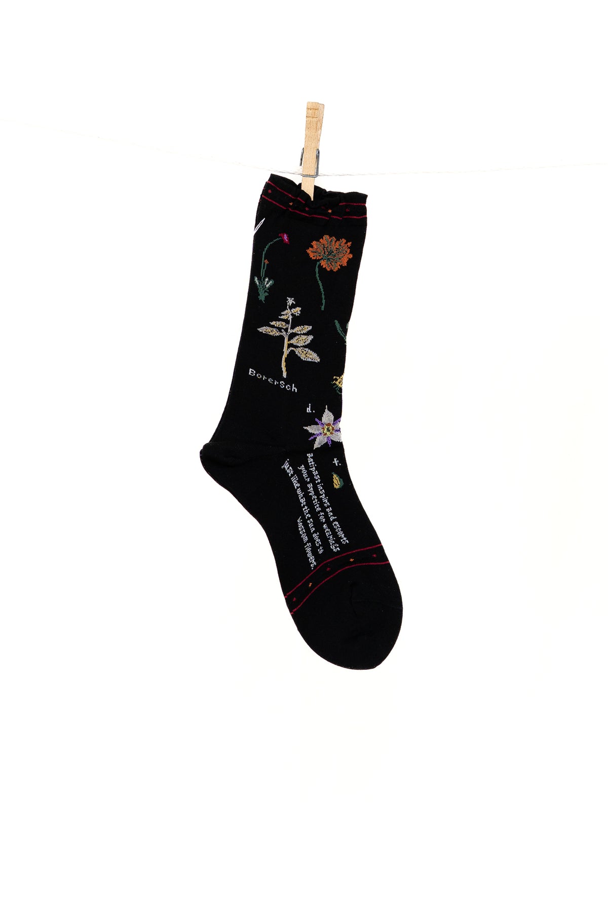 Antipast Botanical XVII Women's Socks