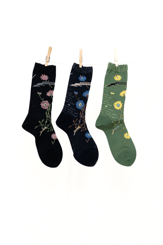 Antipast Margaret II Women's Socks