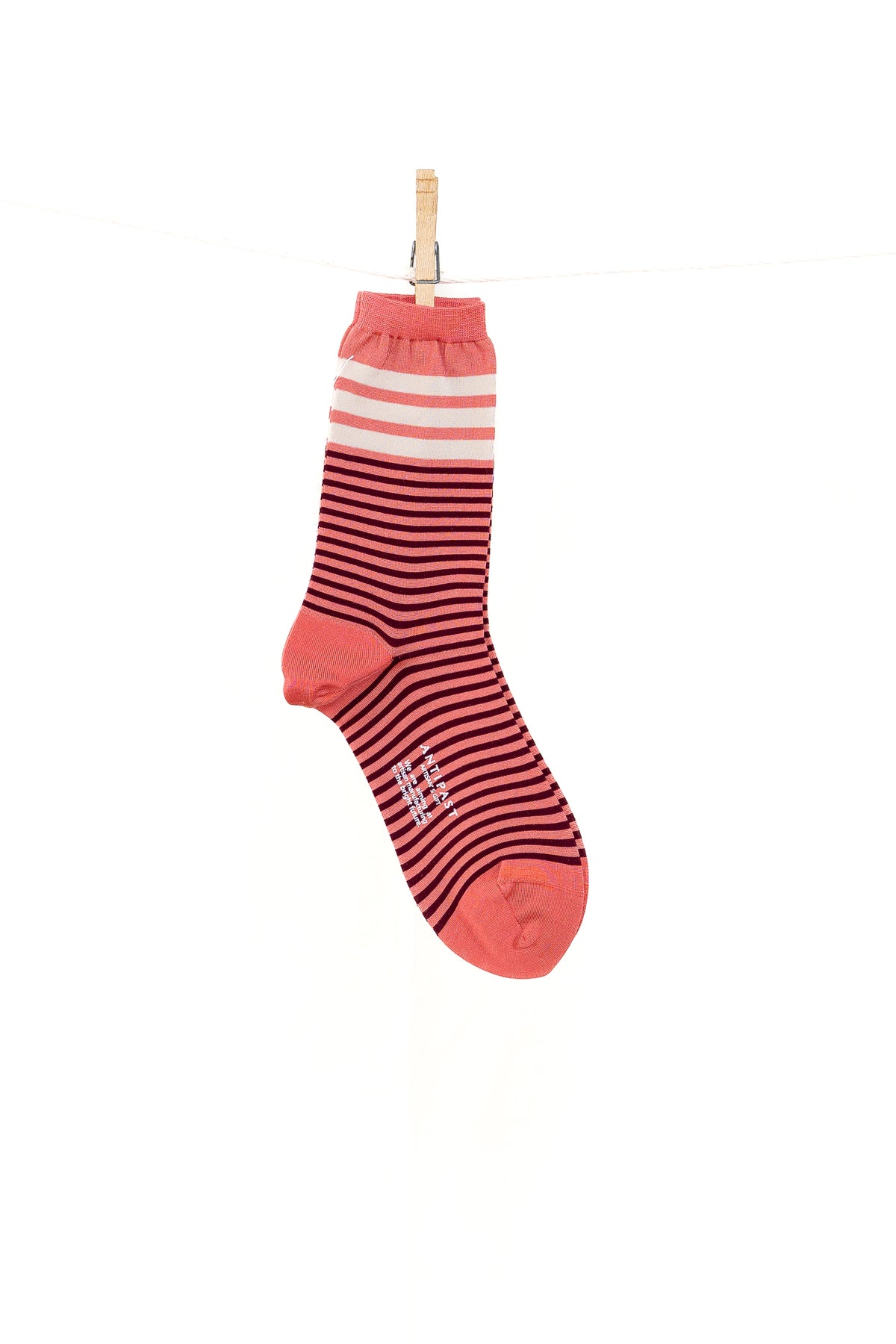 Antipast Color Border Women's Socks